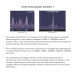 emGuarde Environment Harmoniser (Against invisible Electromagnetic Radiation, EMR)