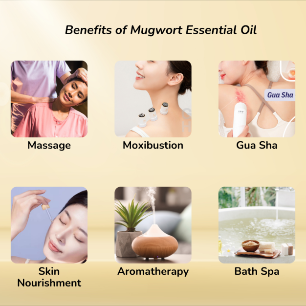 AWIL Premium Mugwort Essential Oil Suitable for Senstive Skin, Massage, Facial Gua Sha, Bianstone Gua Sha, relaxation