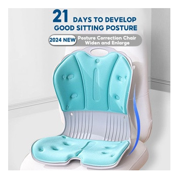 Posture Correction Chair for Adults | Ergonomic Lumbar Support | 50-90kg