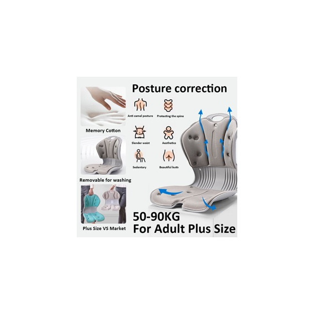 Posture Correction Chair for Adults | Ergonomic Lumbar Support | 50-90kg
