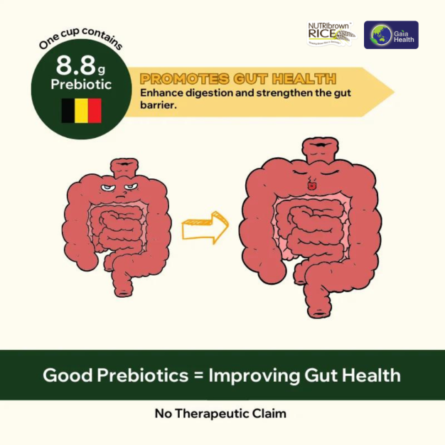Shop NutriBrownRice® Oat Added with Prebiotic | Heart-Healthy Breakfast Drink