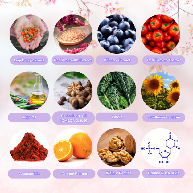 OptifyKids – Brain & Eye Supplement for Kids | Essential Nutrients for Growth